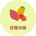 収穫体験
