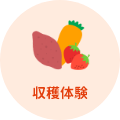 収穫体験