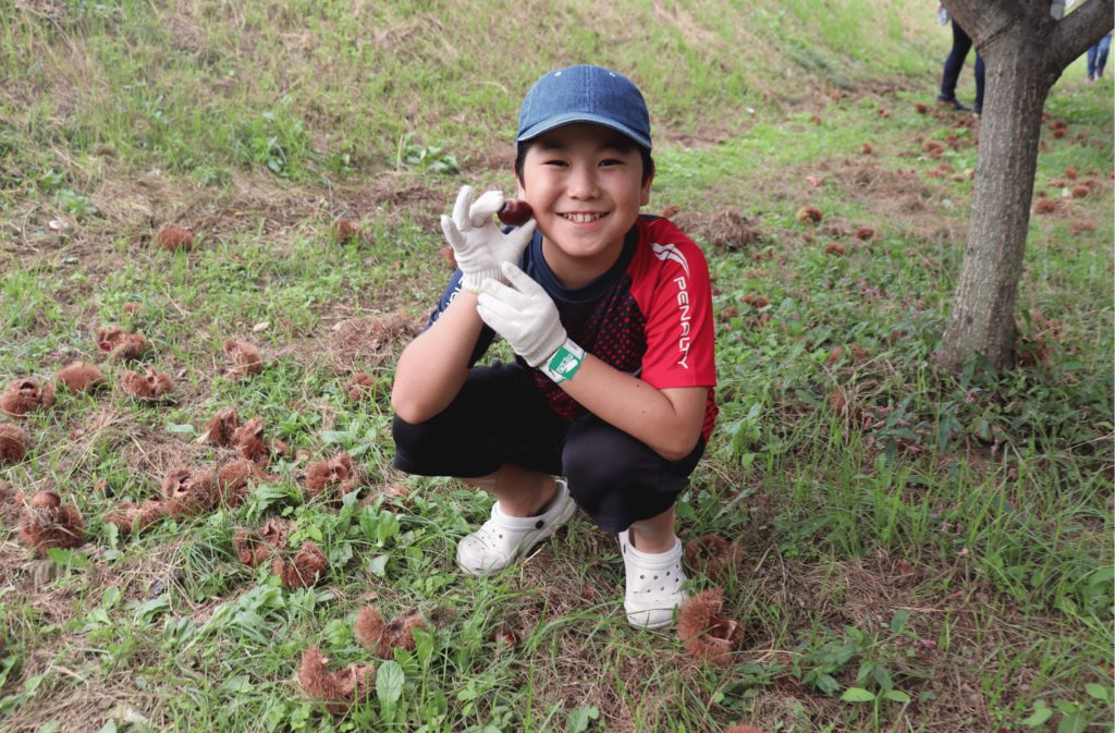 栗拾い様確認用 large.jpeg?1725366128